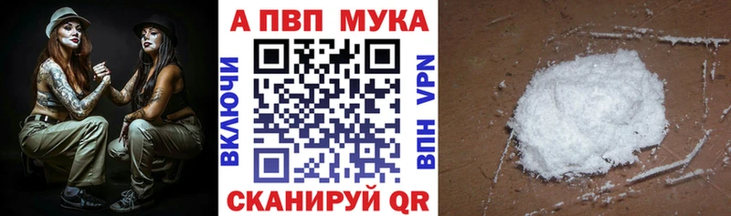 A PVP СК даркнет сайт Хадыженск