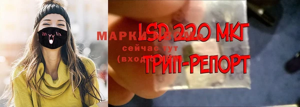 гидропоника Алзамай
