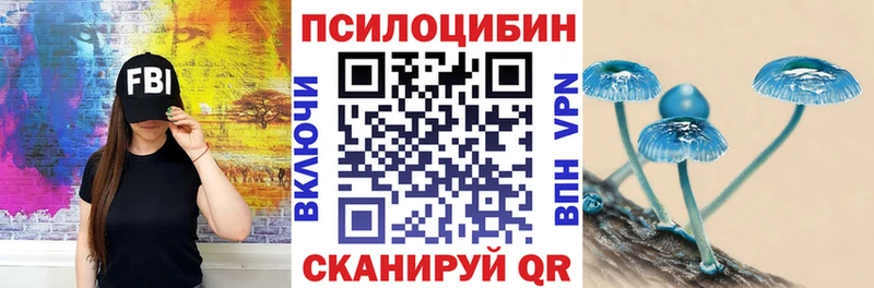 Галлюциногенные грибы Psilocybine cubensis  цена наркотик  Хадыженск 